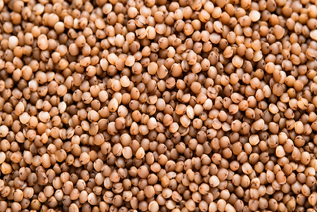 Millet